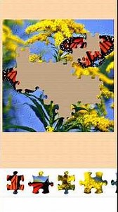 🤩 butterfly image puzzle game | puzzle game short |