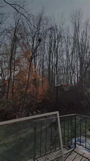 Basketball Hoop Setup in a Beautiful Backyard