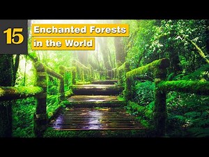 15 Enchanted Forests in the World