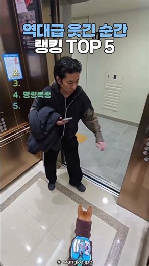 역대급 웃긴 순간 랭킹 TOP5 #쇼츠 #유머 #웃긴영상