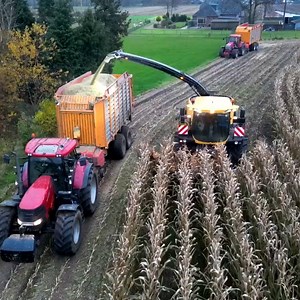 163K views · 3.2K reactions | All yellow machine working together in corn  harvesting | Big Machines | Facebook