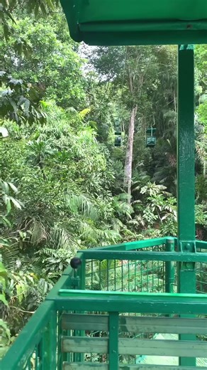 🚡Teleférico de Gamboa 🌳 📍 Gamboa Rainforest Reserve, Panamá 🇵🇦 🎥 naturavivaexplorer (Instagram) | República Federal de Centroamérica
