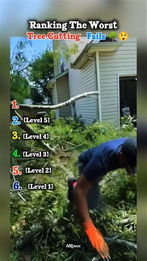 Ranking The Worst Tree Cutting Fails 🌳😲