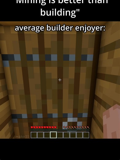Minecraft Average Builder Experience
