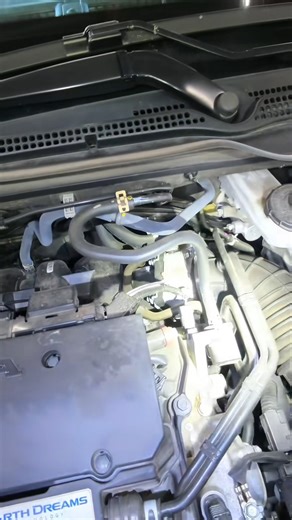 Loyaltyautoservice on Reels