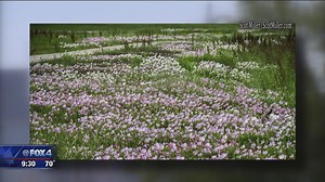 Lone Star Adventure: Trinity Skyline Trail