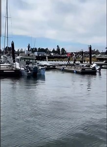 Oh snap. This was just sent to me. Apparently it's the Siuslaw Port, Oregon. Don't know anything else about it, hopefully all are well. | Basin Tackle Online