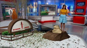 How accurate is Punxsutawney Phil?