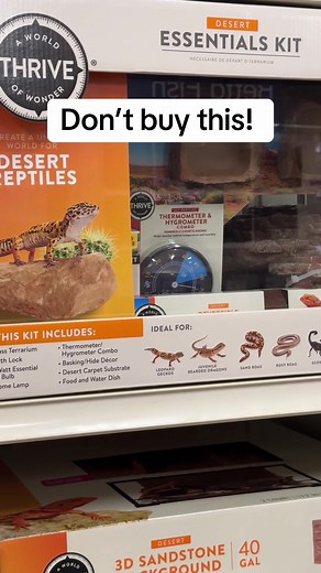 Optimal Leopard Gecko Tank Setup Guide