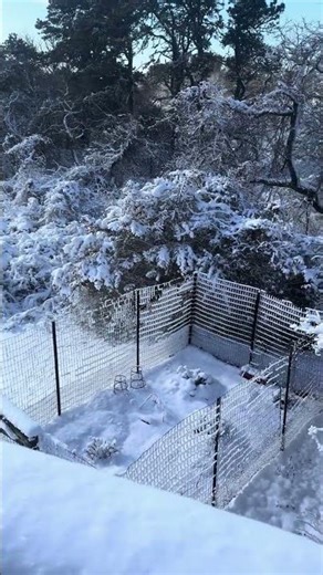 Early snowfall cape cod chatham