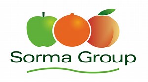 BRS-134_Packing machines_sormabag 2 kg_oranges