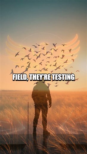 The Hidden Compass Inside a Bird