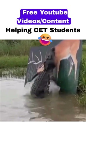 FREE Prep = False Confidence (CET Truth) ⚠️⚠️#Shorts