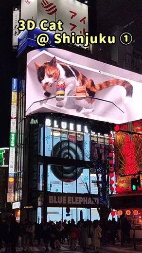 #shinjukucat 🐱 :;;;;;:*☆☆*:;;;;;:*☆ Ghibli Museum and Working tour★tattoo friendly onsen tour★plus size kimono tour★Sumo training watching★Authentic Japanese massage☆*:;;;;;:*☆☆*:;;;;;:*☆ 📍 https://nicotourjapan.com/ #shinjuku #neko #nicotourjapan #3Dcat | NicoTour Japan