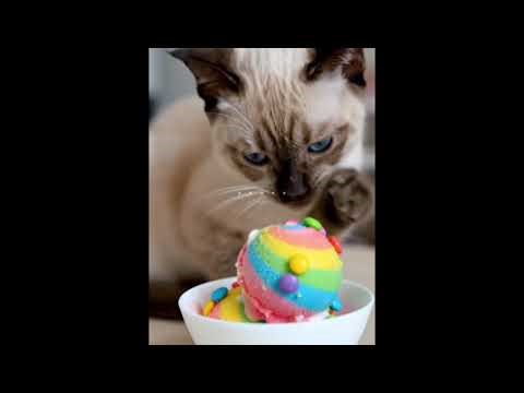 Animals eating food !!😍 cute animals eating very nicely!!#animaleating #cuteanimals