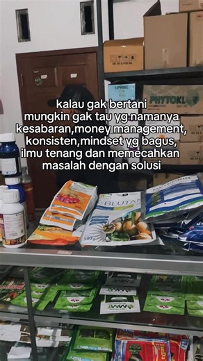 Mie Instan di Godok 3 Menit: Tips Pertanian Milenial