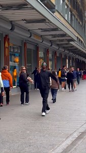 Jika on Instagram: "Fail 🙃 ( il est beau le chien )"