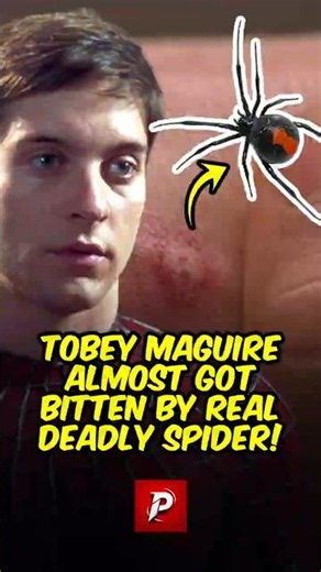 They Wanted a REAL Black Widow to Bite Tobey Maguire! #marvel #SpiderMan #TobeyMaguire #Marvel #MCU