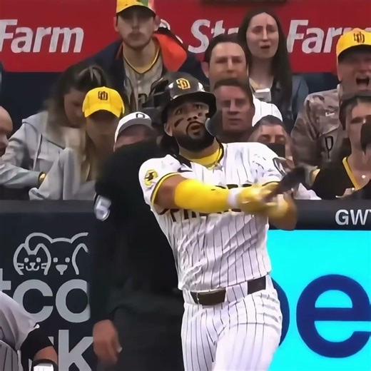 How you know I’m Dominican papi/fernando tatis jr