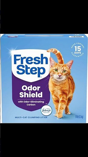 Cat Litter for Multiple Cats: Fresh Step Clumping Review
