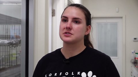 Animals from closed NC shelter moved to Norfolk SPCA