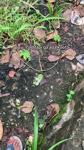 Understanding WiFi Only Users: Tips and Tricks