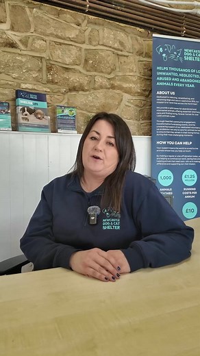 7.5K views · 107 reactions |  A SHELTER DOG WHO'S BEEN HERE FOR 324...