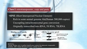 2.1重复序列注释
