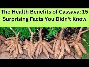 The Health Benefits of Cassava: 15 Surprising Facts You Didn't Know