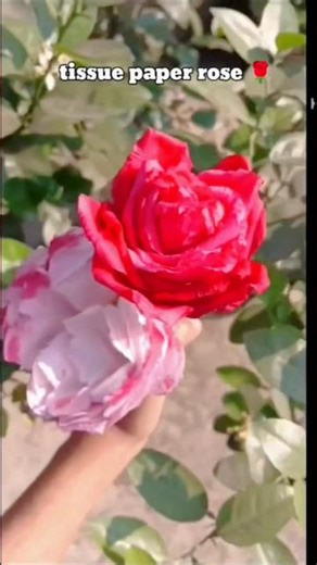tissue paper rose| how to make paper rose#diy #craft #diyflowers #flowercraft #artandcraft #fyp