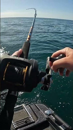Piscifun Silas X Great Lakes Trolling Reel #walleye #salmonfishing #fishing