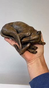 Bronze whippet dog sculpture. ‘Sweet Dreams’, a limited edition miniature bronze, is available to buy direct from my studio. Click on my website for more info. #whippet #greyhound #whippetlove #animalsculpture #animallovers #animalart #dogportrait #nickmackman #doglover | Nick Mackman Animal Sculpture