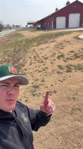 Transform Your Lawn This Year: Expert Tips