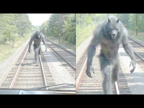 REAL Cryptids Caught Clearly On Camera - Part 4