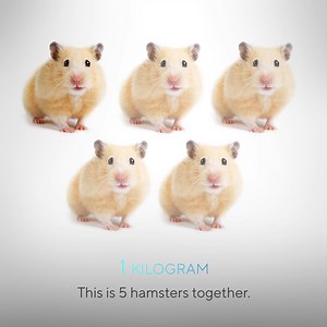 30 reactions · 3 comments | Imagine for a moment that your laptop weighs 1 kg. Designed to give you the best of all worlds, #Zenbook 14X OLED delivers uncompromising performance in a compact, slim and lightweight design. Learn more here: https://asus.click/thincredible_ux5304_fb #ASUSLaunchEvent #Thincredible | ASUS | Facebook