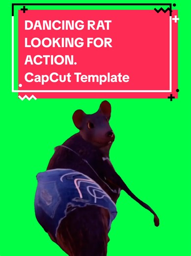 Dancing Rat Meme: CapCut Template for Fun Videos