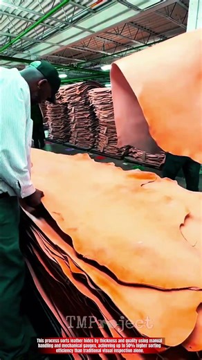 Innovative Leather Skirting Process : Best Precision Hide Thickness Sorting