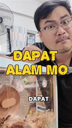 Mga dapat malaman bago mag-alaga ng hamster