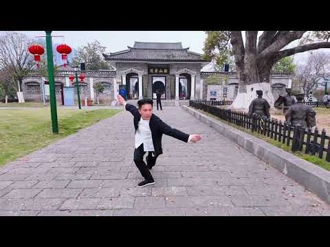 Master Wenxin's Secret Fist Technique: Spring Fills Chuanshan! skill traditional culture L