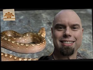 Getting into Breeding Retics | with Brian Farrelly
