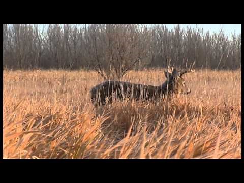 Why You Should Hunt From a Ground Blind - Deer Hunting