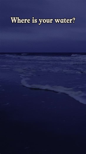 Whether it’s waterfalls, waves, or wildlife… we clearly love chasing water. 💦🌊🦦 There’s just something about it—loud, calm, chaotic, sparkling—instant brain reset. If I’m traveling, I will absolutely “accidentally” reroute the whole day for a good splashy moment. 😅 What’s your favorite way to enjoy water: chasing waterfalls, beach days, kayaking, hot springs, or just sitting somewhere and listening to it move? #ChasingWater #Waterfalls #OceanWaves #WildlifeWatching #NatureTok #TravelTok #Get