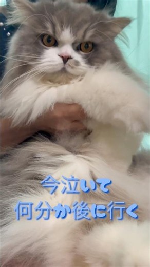 バズり中の夜の踊り子…レオ君が踊るwww