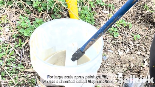 2.9K views · 18 reactions | Graffiti, graffiti, on the wall Kayla is...