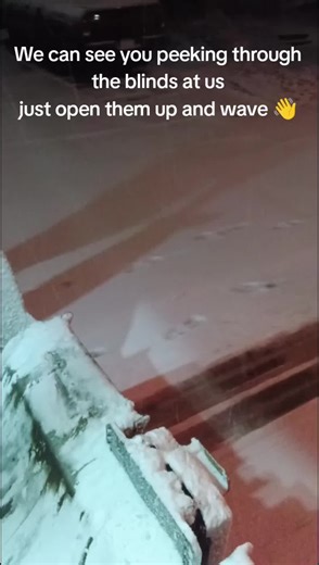 Peek Through the Blinds and Say Hi!