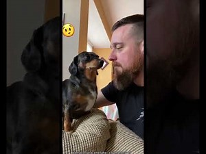 Lovely Animals & Humans ❤️🐾 | Heartwarming Moments of Friendship and Love