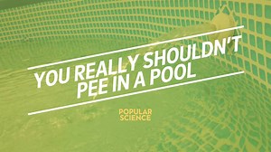 You really shouldn't pee in the pool. It's bad for you! | Great Moments in Popular Science