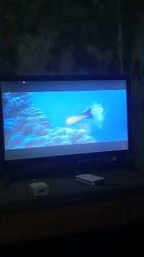 Trailer Finding Nemo (2003)