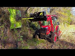 Brush Cutting with the Lane Shark Hammerhead