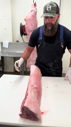 Removing the exterior fat off of a bone in pork loin.🐖 #foryou #fyp #fypシ #viral #pork #pig #hog #butcher #butchering #knives #thebeardedbutchers #youtube